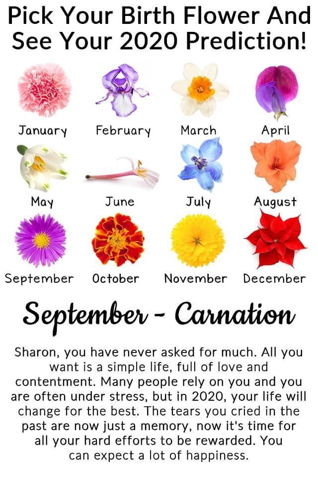 Sharon Crouch's album, Timeline Photos