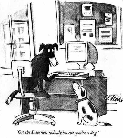 Dogs rule...