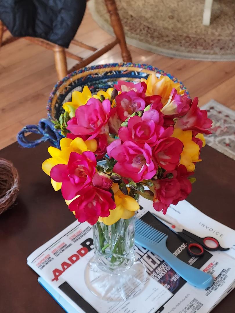 Righteous Freesias in bloom. They smell so good. Cala lilies are also blooming.