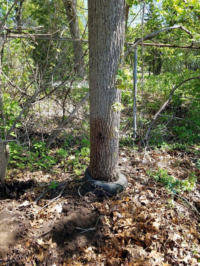 A real tree hugger tire.  At WHRRI between turn 4 and 5.