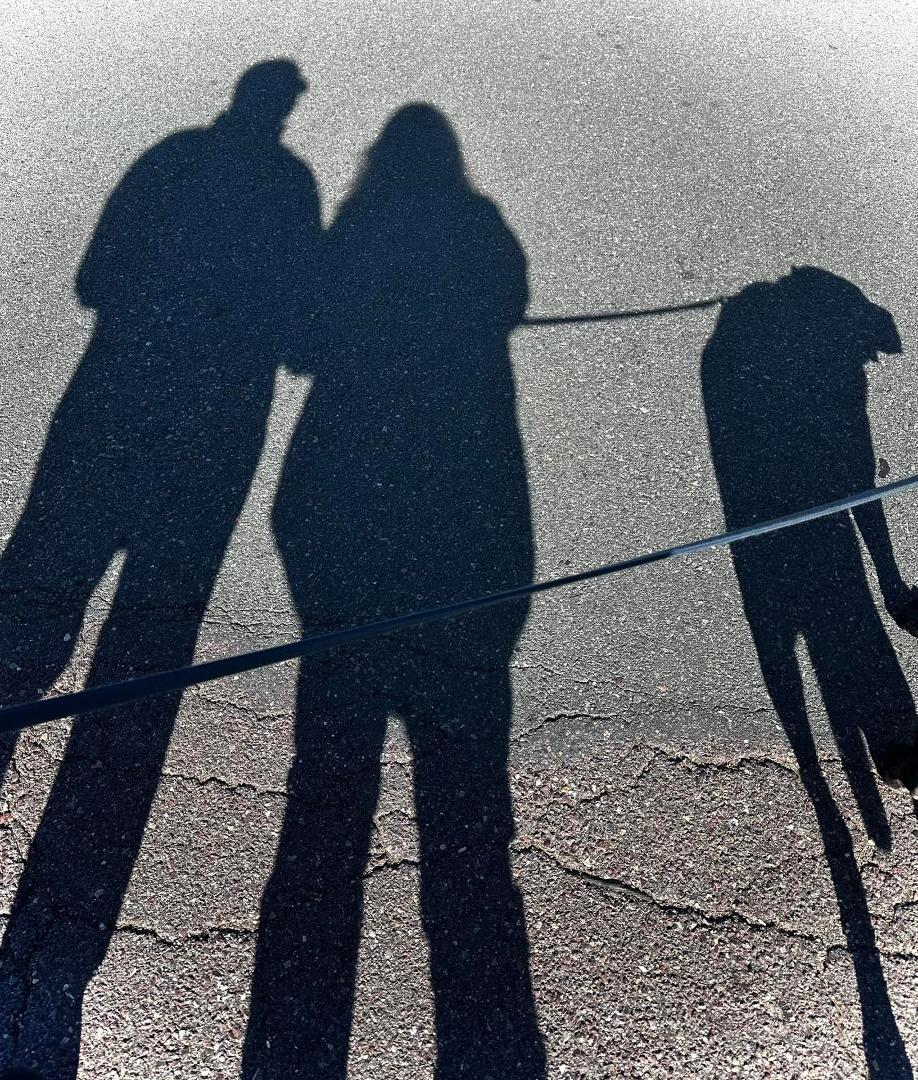 Saturdays Shadows 🩶🤍