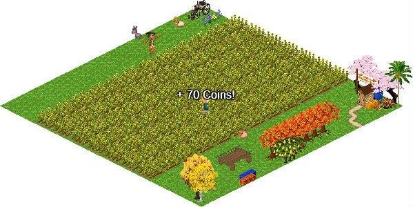 mstoned took a photo in Farm Town