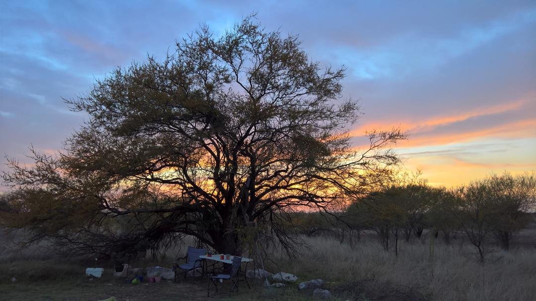 A couple more days here and we'll move on. Amistad National Recreation area Del Rio Texas.