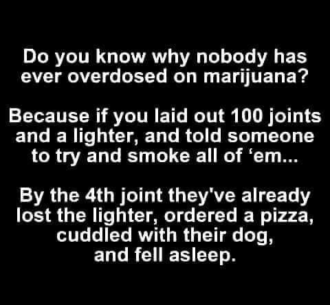 Thought for the Day
