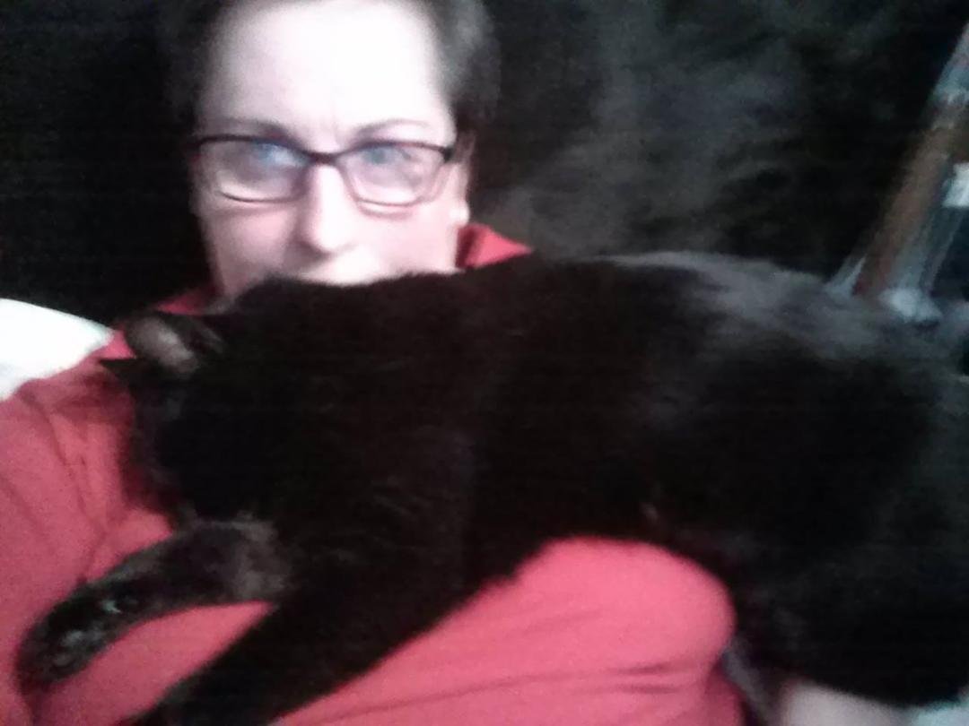 As long as you're comfortable, Loeb...