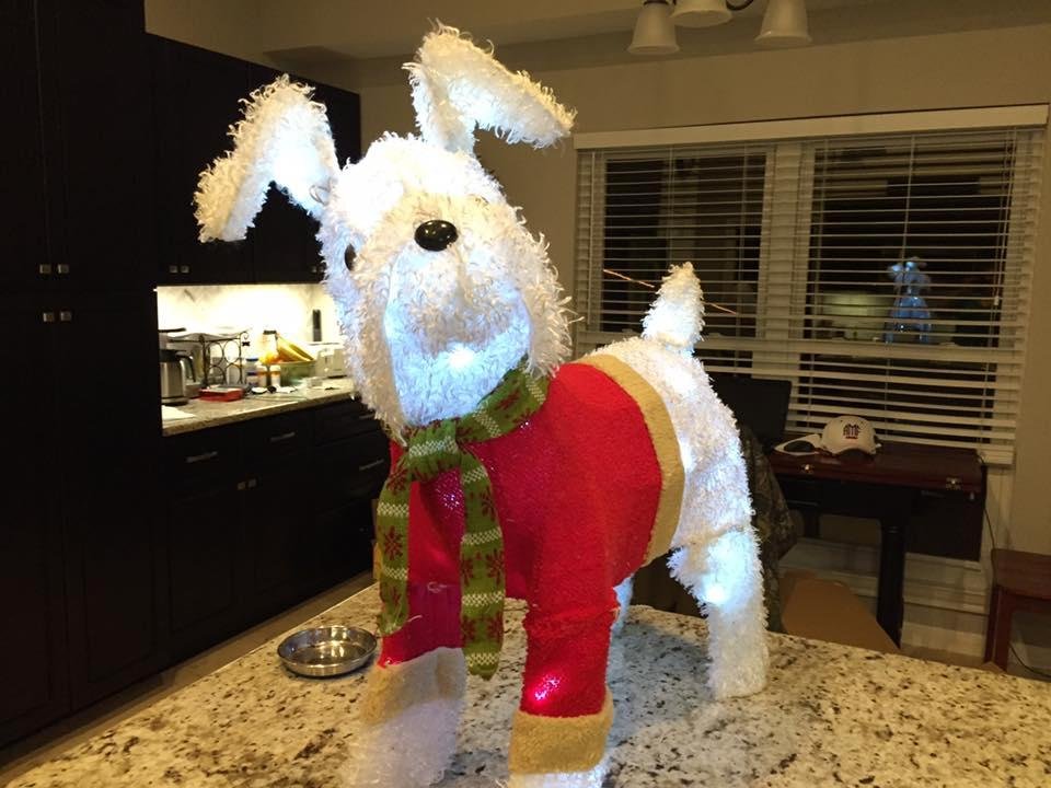 It's beginning to look a lot like Christmas at the Andrade household!!!