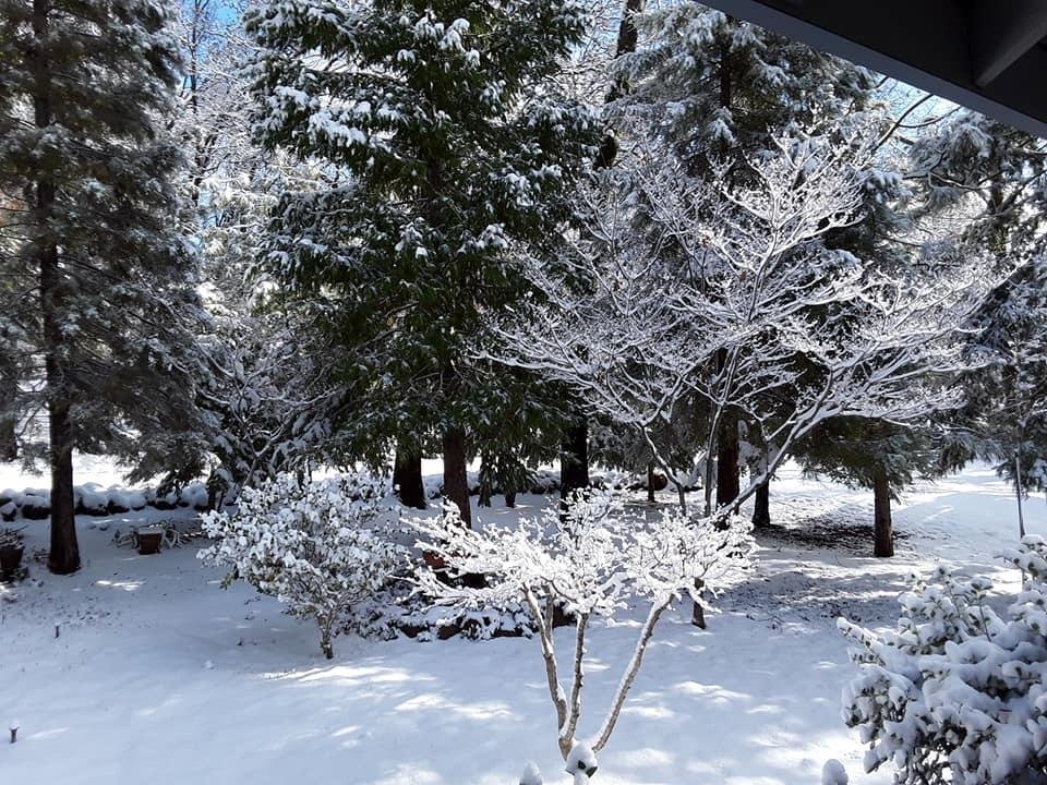 View from the front porch