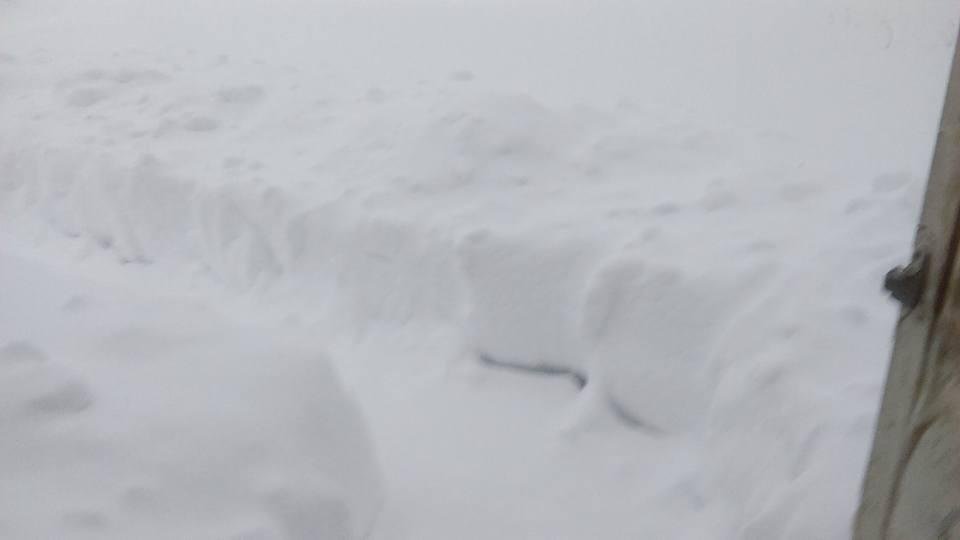 Snow up to my knees