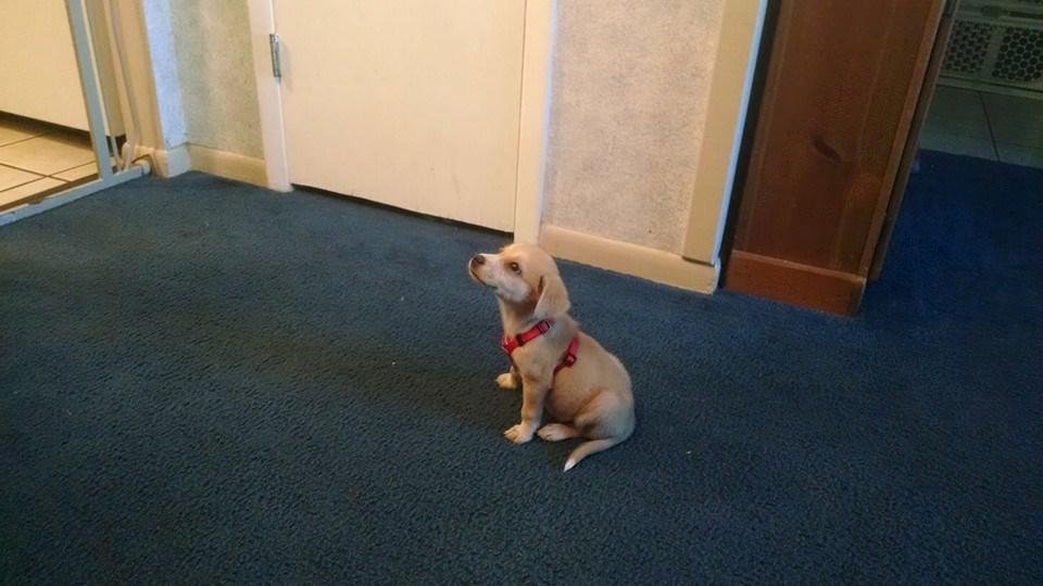 Peaches is her name. Love her