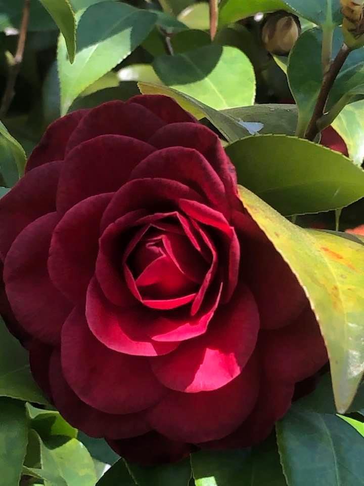 A tribute to my beautiful Cousin, Patricia Earp. You shared life filled with so many great memories. YOU will be missed!