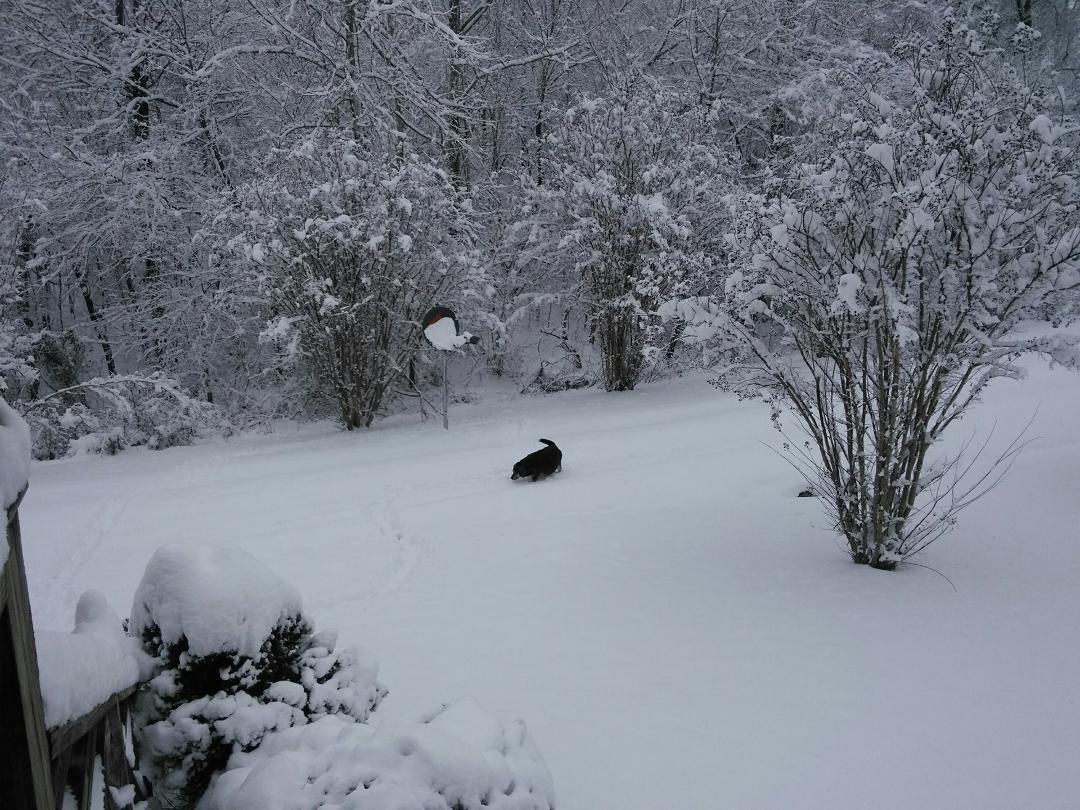 front yard.