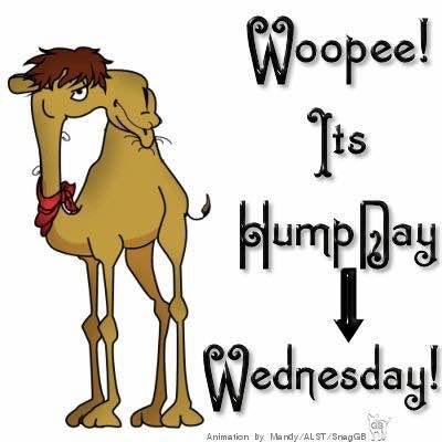 Fantastic weekend and now ... well, you know lol HAGD 😎pool today⛱