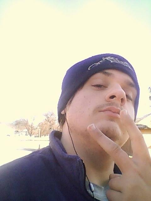 Levi Young's album, Mobile Uploads