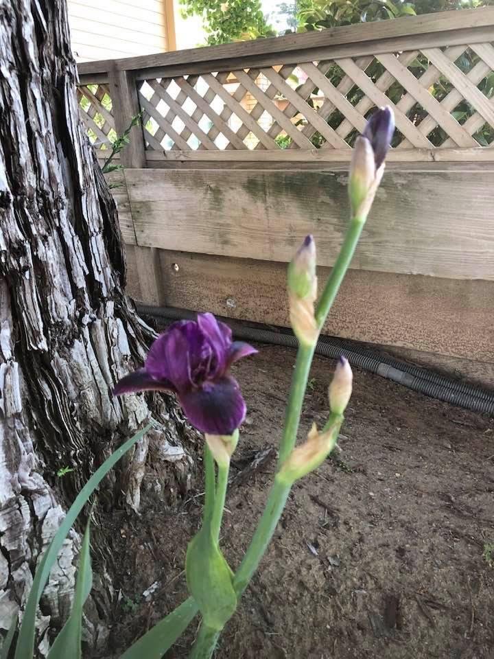 We have a new color this morning