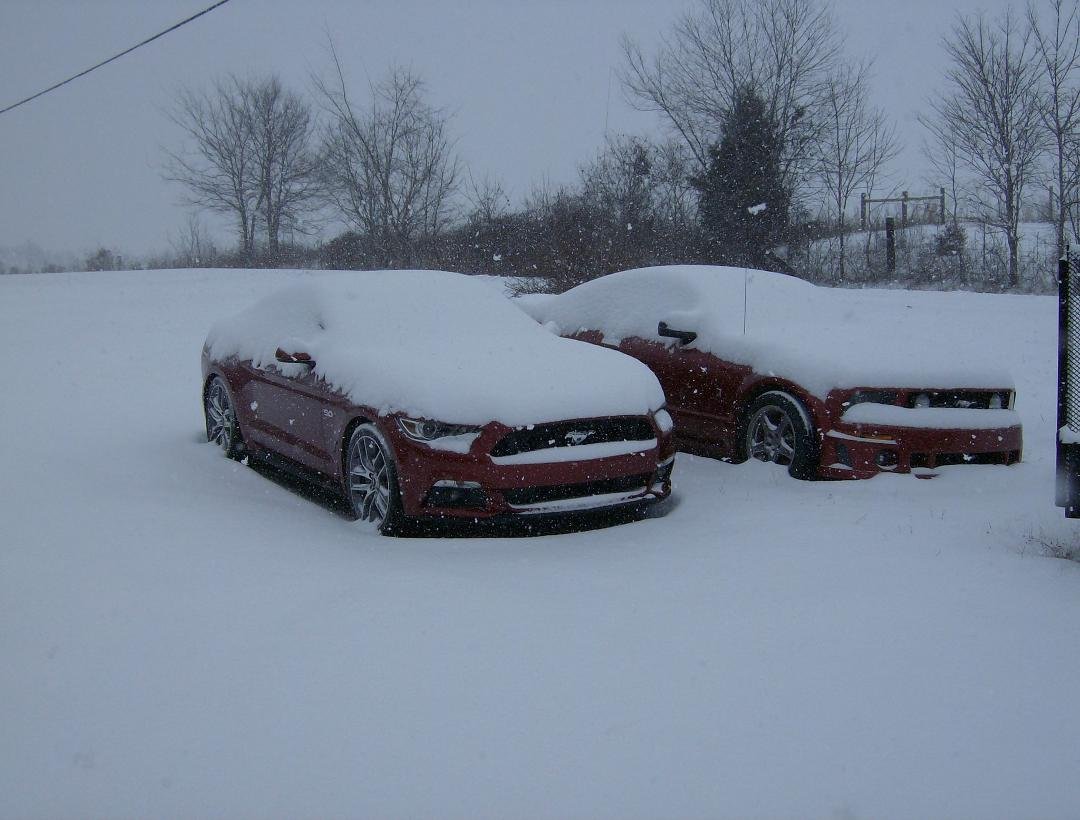 Who keeps doing this to my cars?