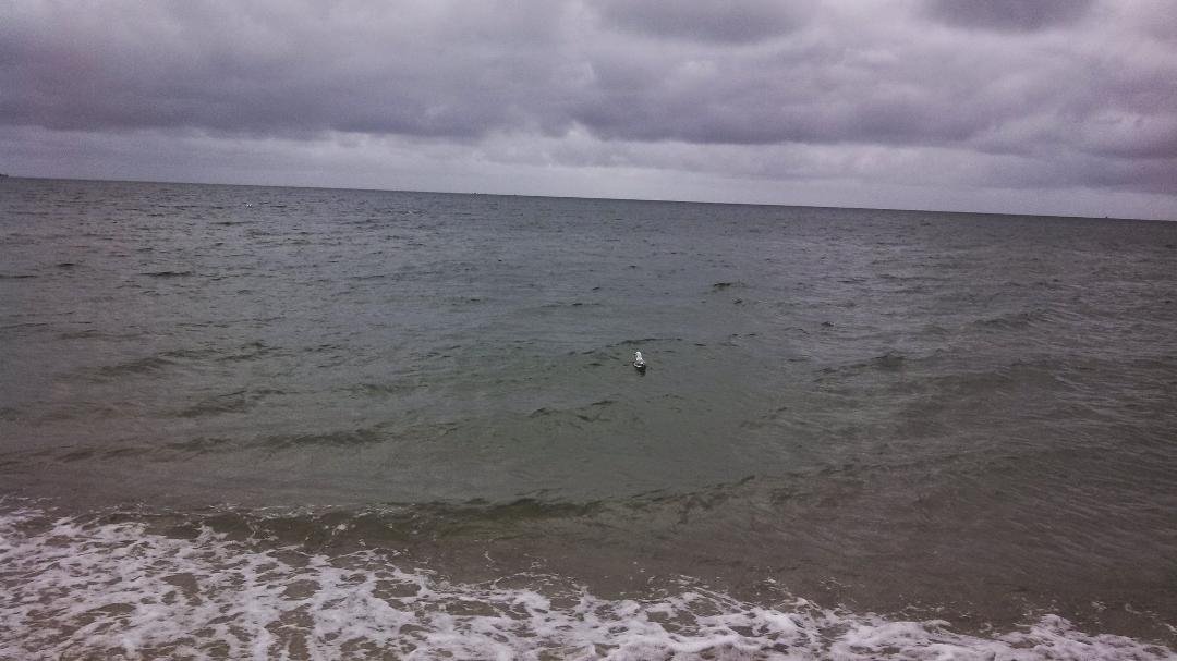 John pina's album, Mobile Uploads