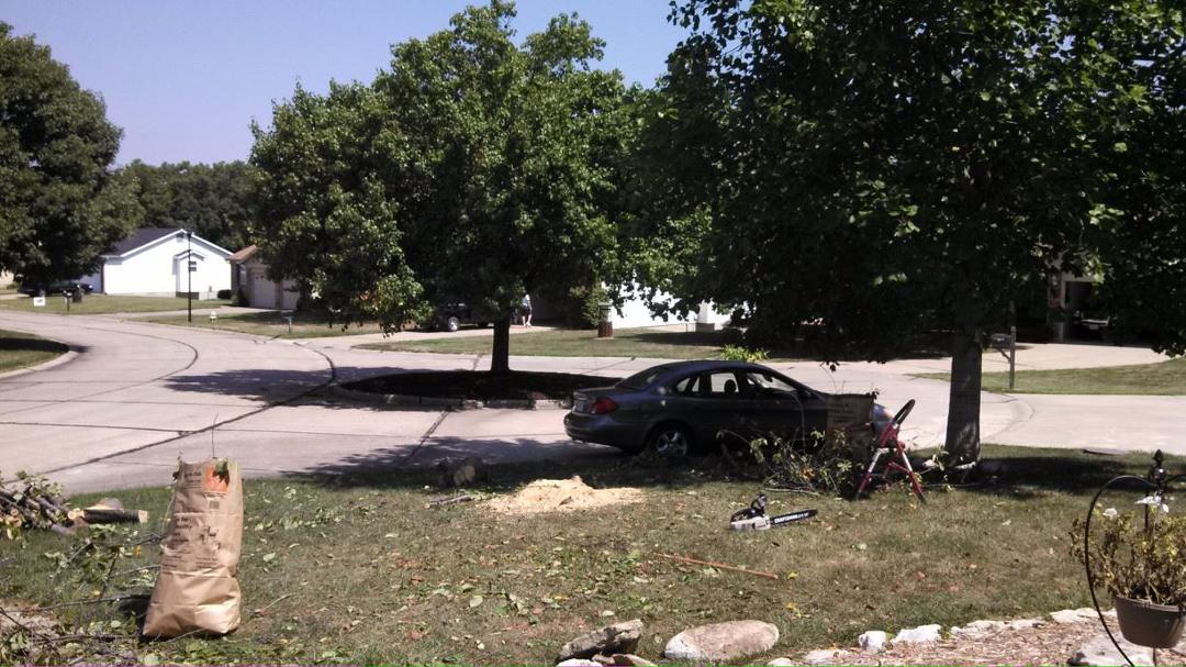 What looks different about my front yard.