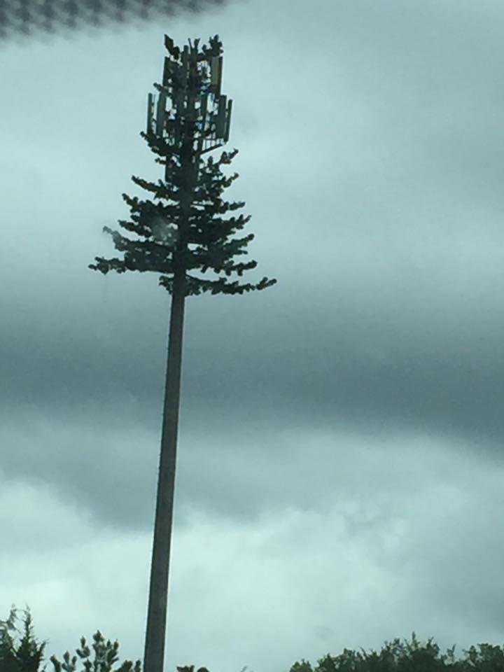 Is this to camouflage a tower?