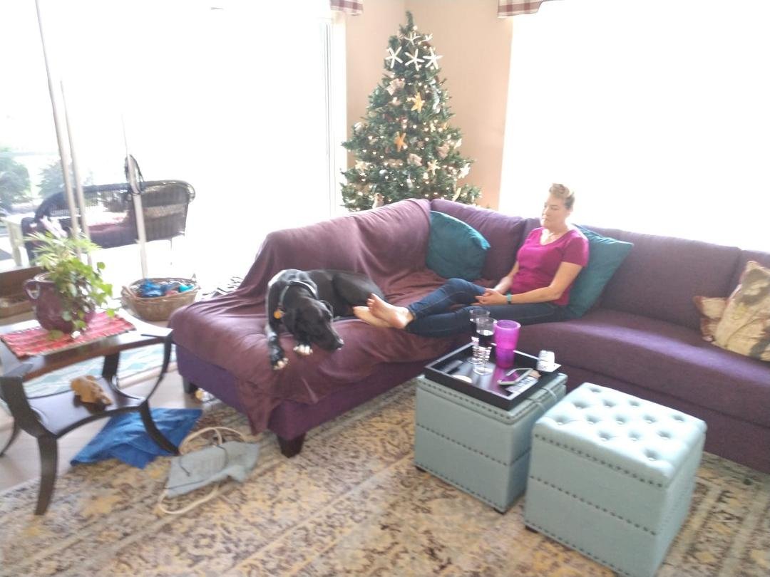 When the cooking's done, the meal complete, Suzy and Zach prop up their feet. A nap, a snooze but they will be back, next holiday dinner or maybe just snacks