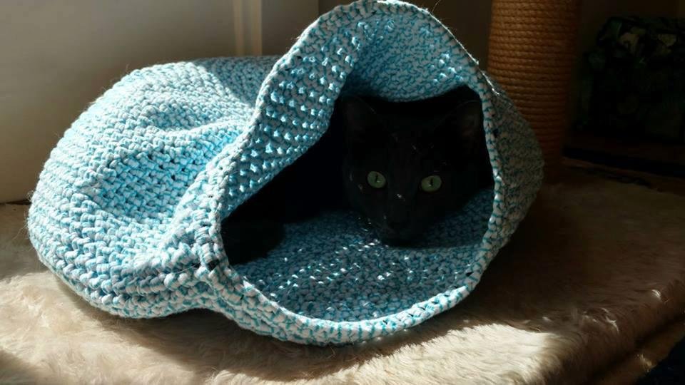 I made the cat cave for Skipper quite a while ago. Naturally he ignored it for quite a while, too! He seems to be interested in it again!