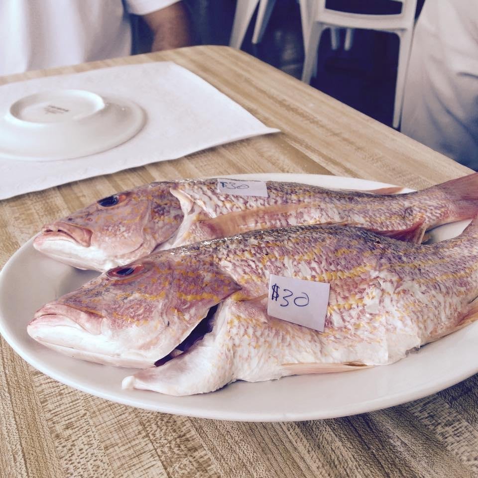 Dinner at Poop Decks in Nassau with my son....fish just caught......before....,..