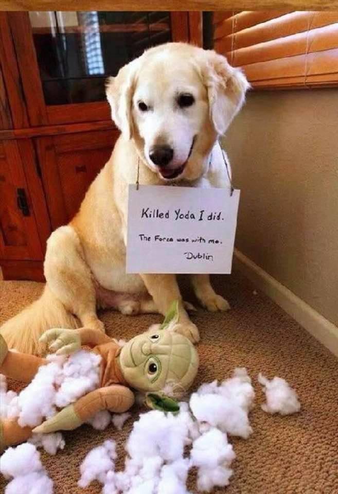 Haha lmao