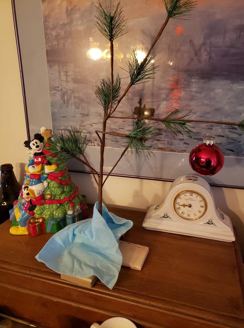 Christmas tree is up