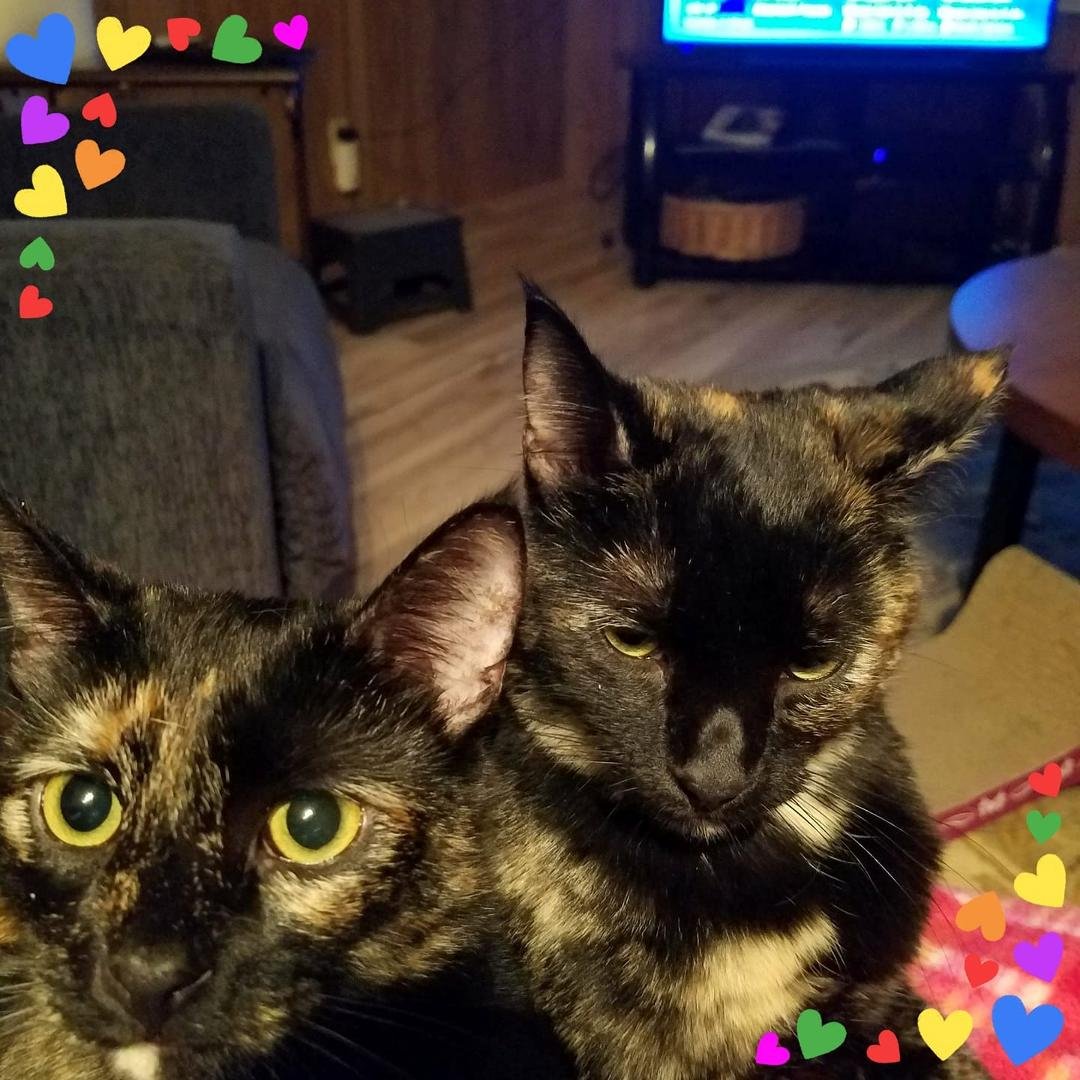 My sweethearts