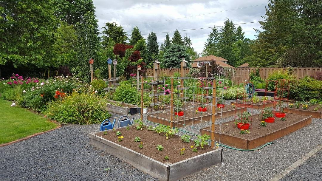 Garden's in...now we weed, water, and wait😁