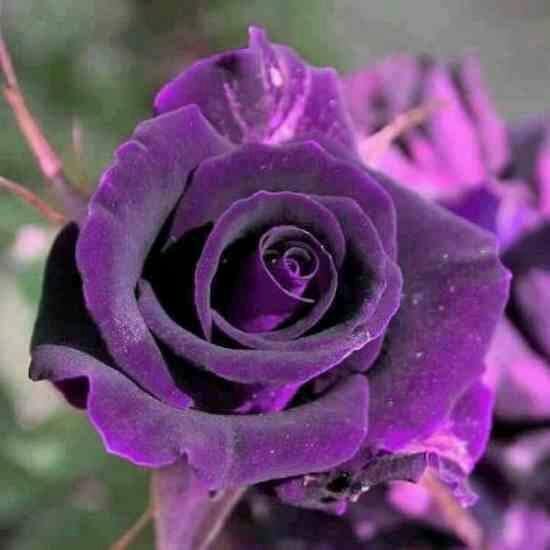 Wendy Conklin's album, Timeline Photos