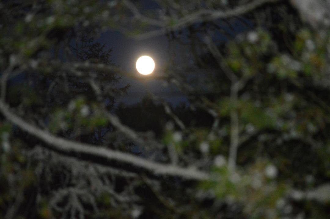Kenneth Mattoon's album, harvest moon 9/18/13