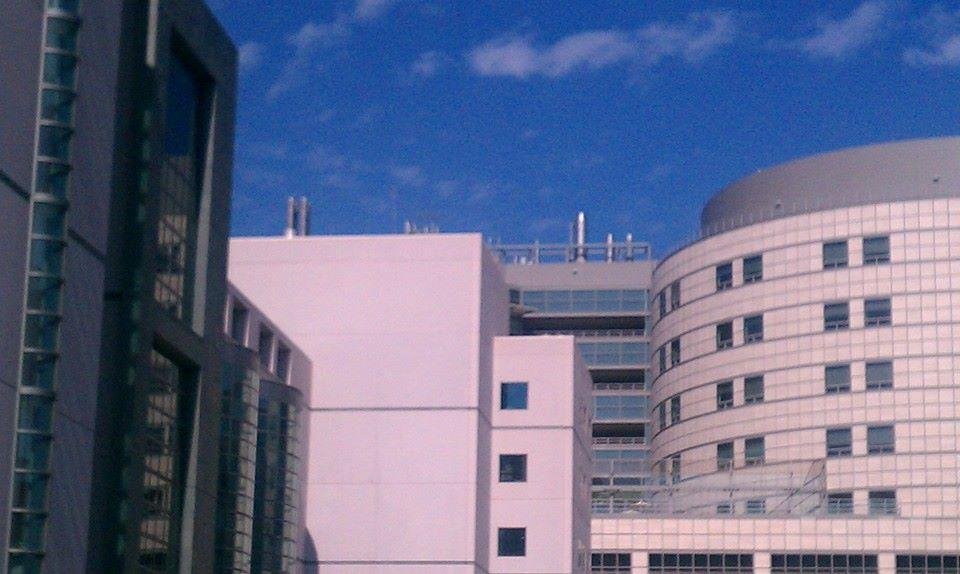MISSILES ON TOP OF UCLA IN CASE UC SANTA CRUZ GETS ALL HIGH AND MIGHTY THEN THEY CAN SHAKE THEIR FINGER AND THEN THESE MISSILES AT THEM. AFTER THAT NOBODY KNOWS BCUZ THE MISSILES ARE FULL OF CONFETTI AND CANDY ANYWAY