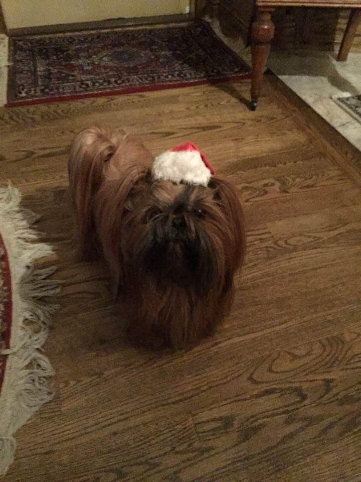 Carol Malick's album, Timeline Photos