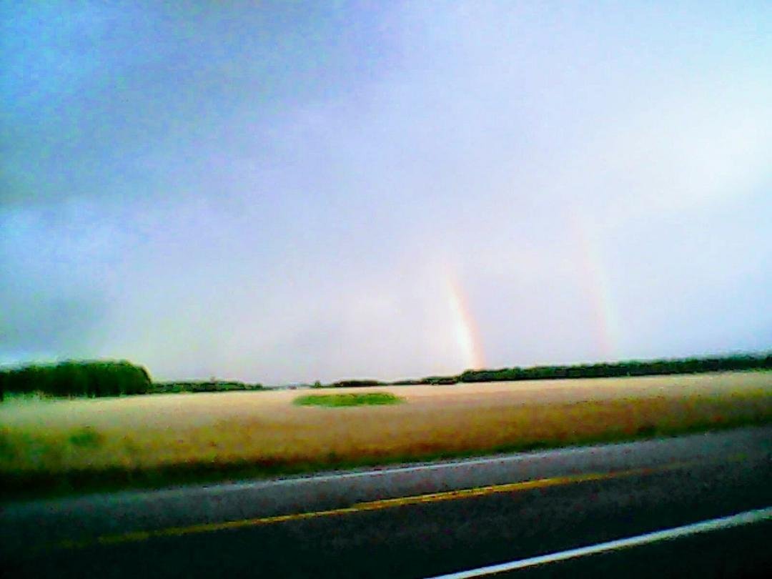 Isn't nature just beautiful !