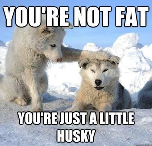 Jack Martin's album, Timeline Photos
