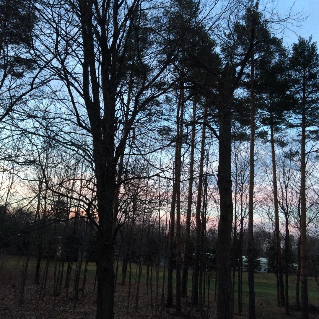 Good Sunday morning sky!