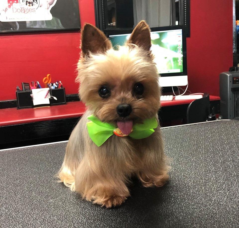 Little Lucy at the end of her spa session!!