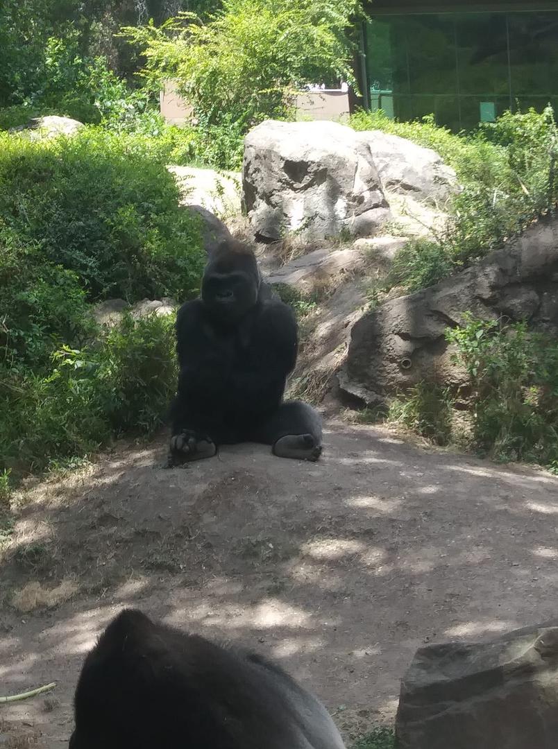 What are you looking at?