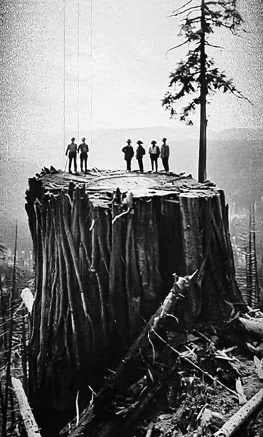 Raymond/Joseph Smith's album, Timeline photos