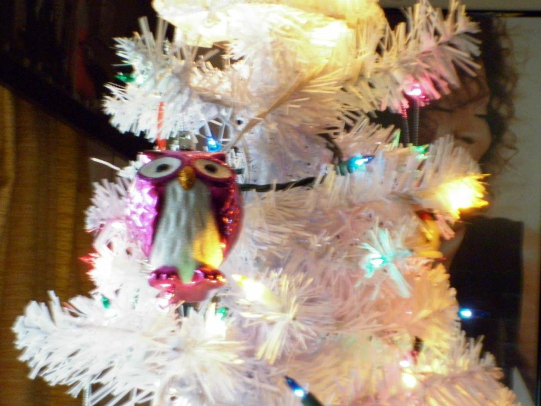 This is Support for Sophia a purple owl for her on my tree...put i have little owls on my tree to for her too...