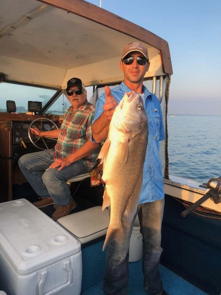 nicks fish ohio sheephead.
