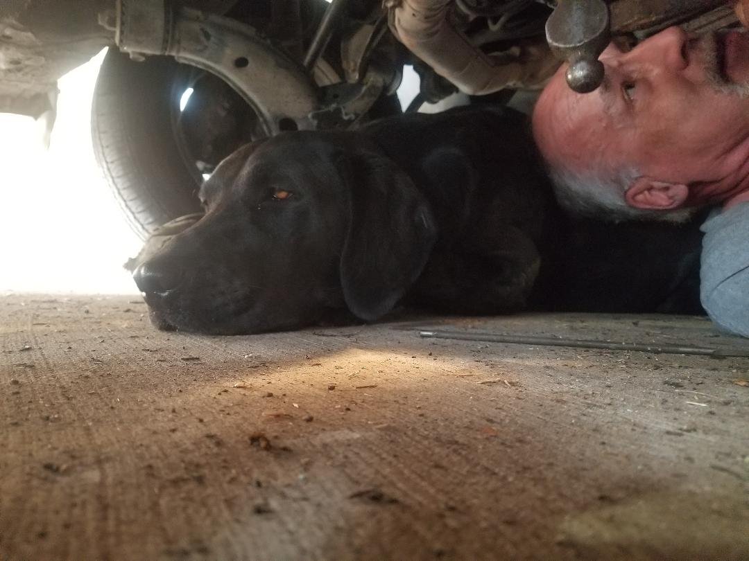 Cooper! Really, you got to come under the car to help ?