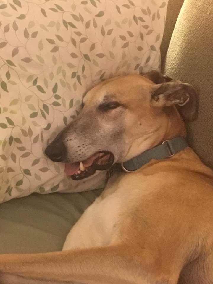 A face only a parent could love.
