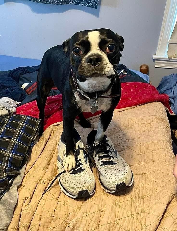 Rosie playing dress up with Daddy’s sneakers…