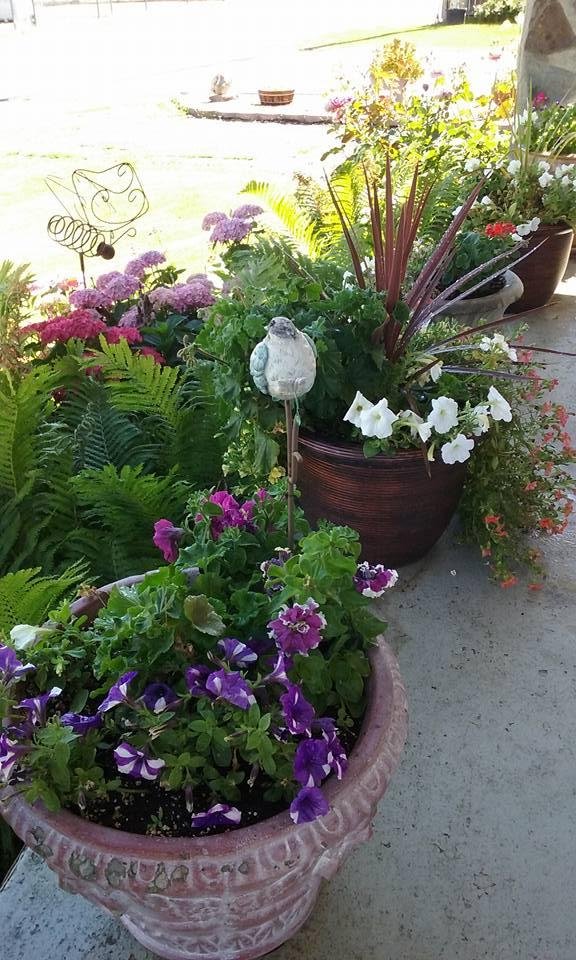 Debbie Lamb's album, Mobile Uploads