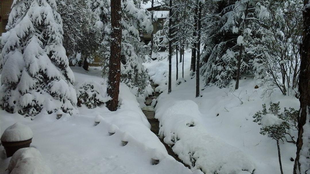 Our seasonal creek. It will run until all of the snow on the mountain behind us has melted.a