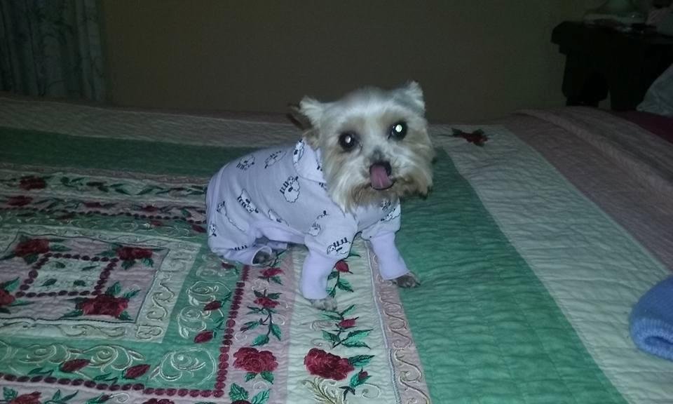 Baby Coco is ready for bed