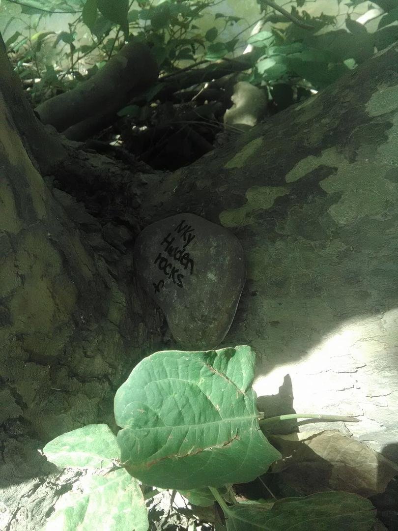 #hiddenrocks