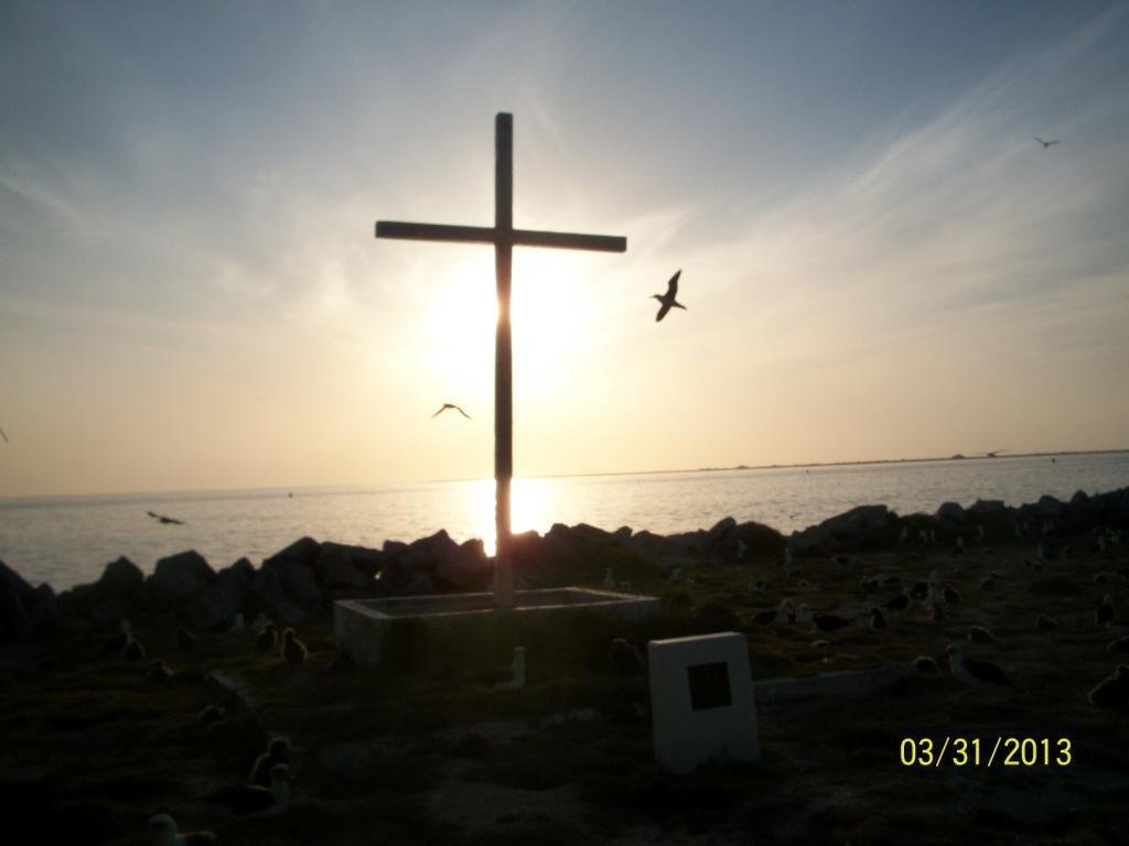 It's still cold and windy here.  Feels like Dec/Jan.  Took all morning into the afternoon to load this picture! ...enjoy