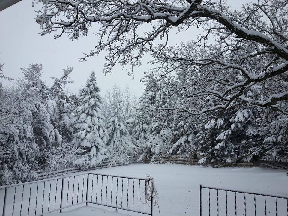 This is out our back door